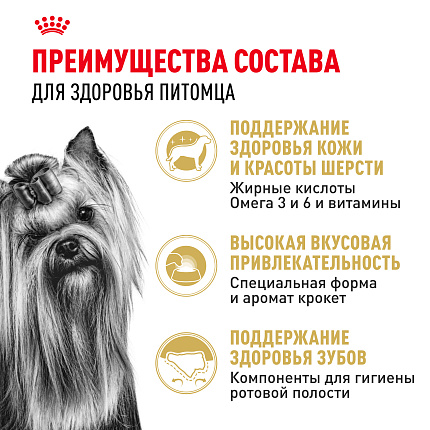 Royal Canin Yorkshire Terrier Adult Корм сухой для взрослых собак породы Йоркширский Терьер от 10 месяцев, 3 кг